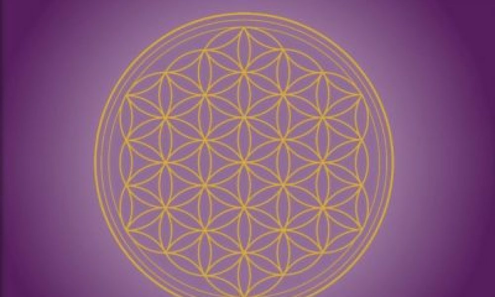 3. Magazin und weitere Messeplanungen