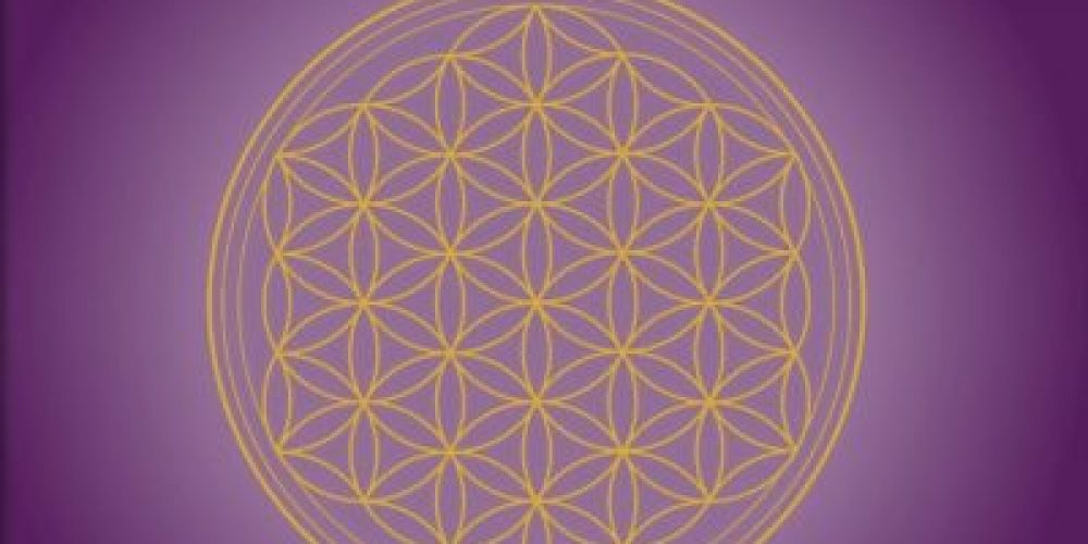 3. Magazin und weitere Messeplanungen