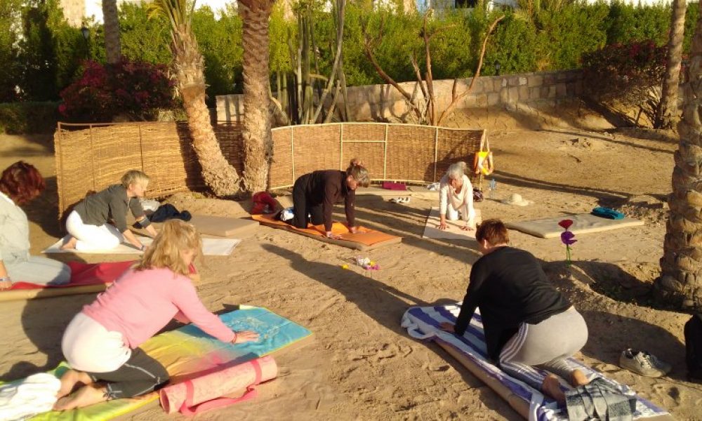 Interview/Beitrag unseres Partners Reinhold Naderer zur Yoga-Reise nach Ägypten vom 20.-26. April 2020