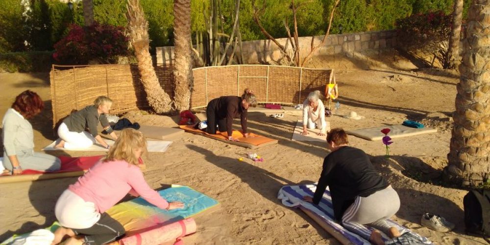 Interview/Beitrag unseres Partners Reinhold Naderer zur Yoga-Reise nach Ägypten vom 20.-26. April 2020