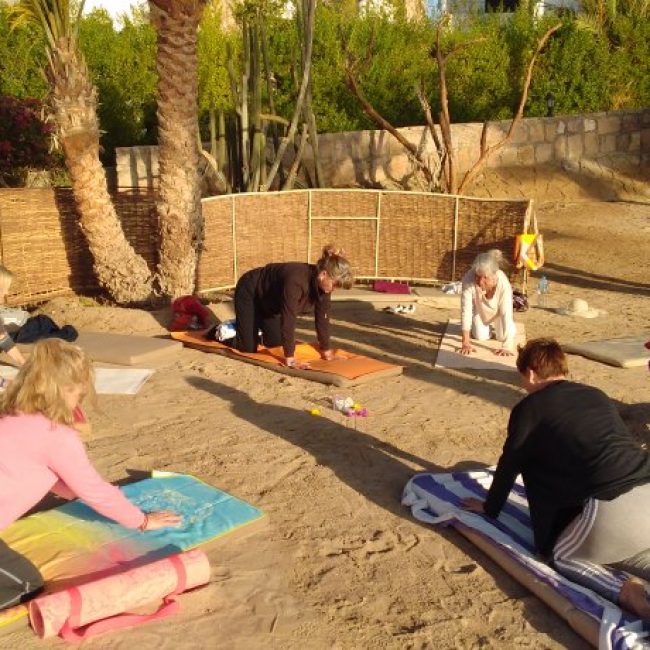 Interview/Beitrag unseres Partners Reinhold Naderer zur Yoga-Reise nach Ägypten vom 20.-26. April 2020